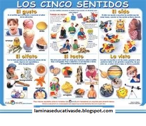 LITOGRAFIA EDUCATIVA FULL COLOR GRANDE 50X70