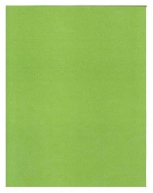 CARTULINA BRISTOL CARTA VERDE GRAMA 