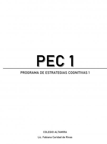 PEC 1 (TEORICO - PRACTICO)