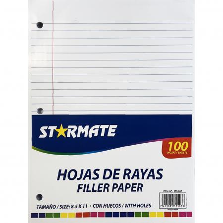 PAQUETE DE HOJAS PONCHADAS x100 UNIDADES